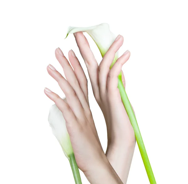 Schöne Frauenhände Isoliert Auf Weiß Frauenhände Mit Kurmaniküre Die Blütenlilie — Stockfoto