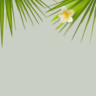 Tropikal çiçek ve palmiye yaprakları üzerinde açık yeşil renkli
