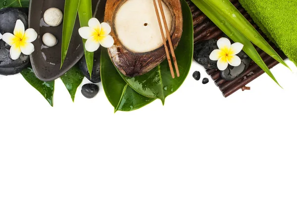 Bem Estar Objetos Tropicais Para Aroma Terapia Saudável — Fotografia de Stock