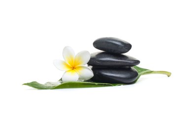 spa sağlık beyaz zemin üzerine tedavi için ayarla.