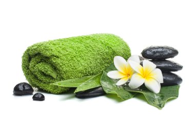 Beyaz arka plan sağlıklı tedavi Spa nesneleri (havlu, çiçek. taş, yaprak).