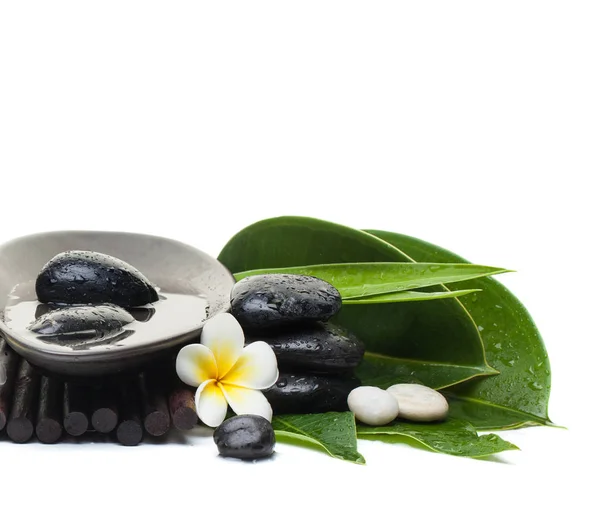 Spa Tropical White Black Stones Flower Healthy Therapy Royalty Free Stock Images