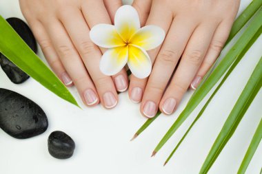 Spa Manikür ve eller ile çiçek, taşlar ve bırakın