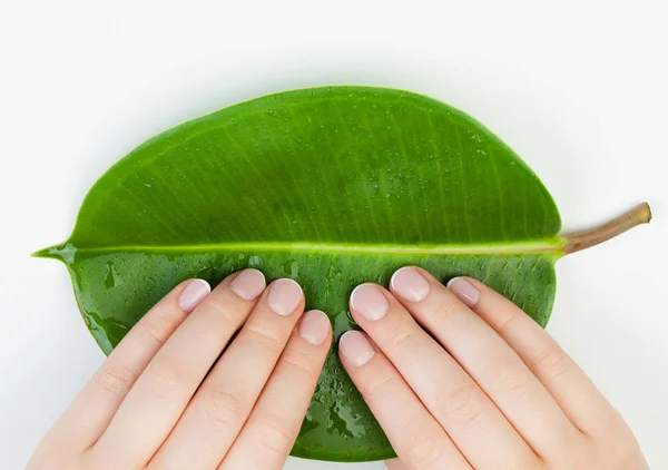 Spa Manikyr Kvinnliga Händer Med Vackra Naglar Grön Tjänstledig — Stockfoto