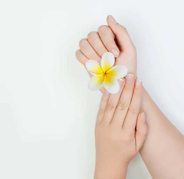 Prachtige Vrouwelijke Handen Witte Achtergrond Manicure Concept — Stockfoto