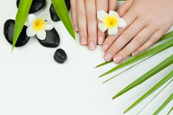 Spa Maniküre Frauenhände Mit Blume Steinen Grünem Blatt — Stockfoto