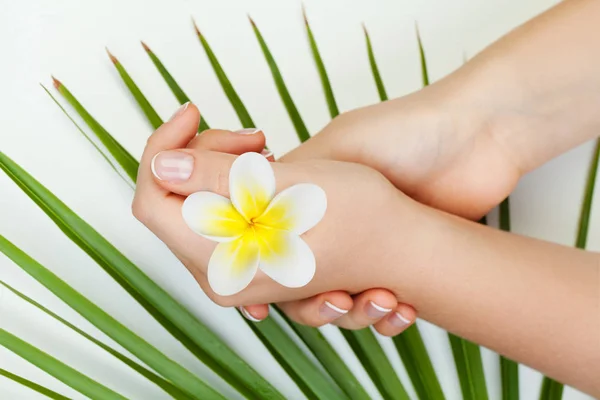 Manucure Spa Belles Mains Féminines Avec Des Fleurs Feuilles Vertes — Photo