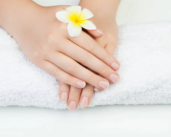Perfeito Mão Mulher Fundo Branco Com Flor Tropical Conceito Manicure — Fotografia de Stock