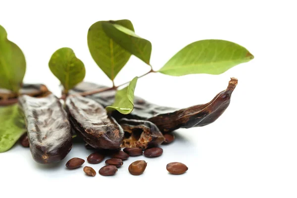 Carob Baljor Vit Bakgrund Friska Organiska Söta Carob Skida Med — Stockfoto