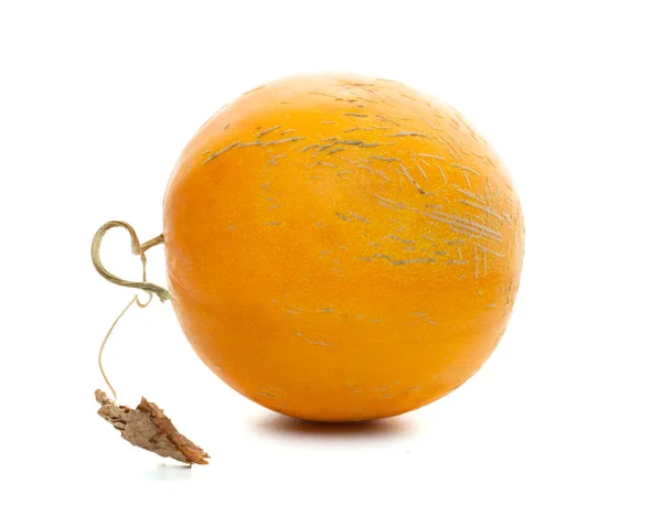 Organic Yellow Melon White Background — Stock Photo, Image