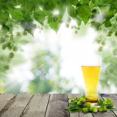 Bira şerbetçiotu bira cam ahşap masa bokeh arka plan üzerinde yaprak