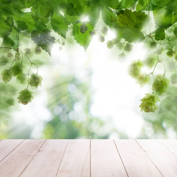 Bierhopfen Auf Abstraktem Grünem Hintergrund Mit Weißem Leeren Holzbrett Mit — Stockfoto