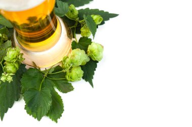 Kopya alanı beyaz zemin üzerine yeşil şerbetçiotu bira cam bırakır