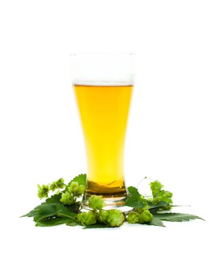 Beyaz bira cam. Bira ve şerbetçiotu 