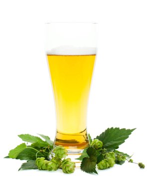 Beyaz arka plan üzerinde bira cam ve bira atlama