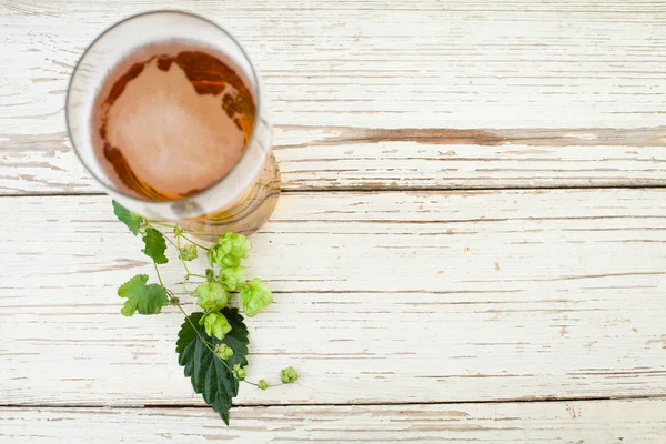 Beer glass with beer hops leaves and cones on vintage wooden table background with copy space, top view