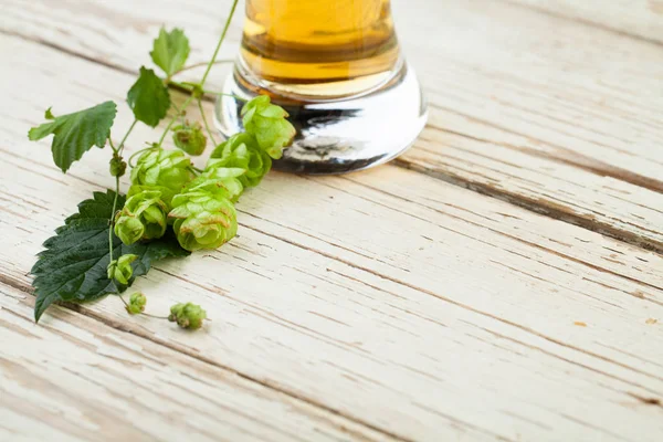 Beer glass and beer hops plant on vintage wooden background with copy space