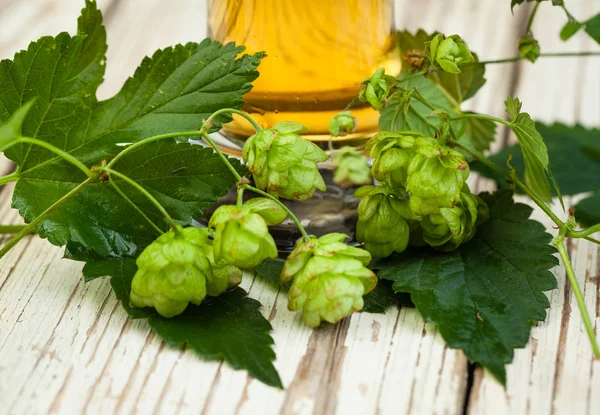 Cerveza Lúpulo Sobre Fondo Madera Blanca — Foto de Stock