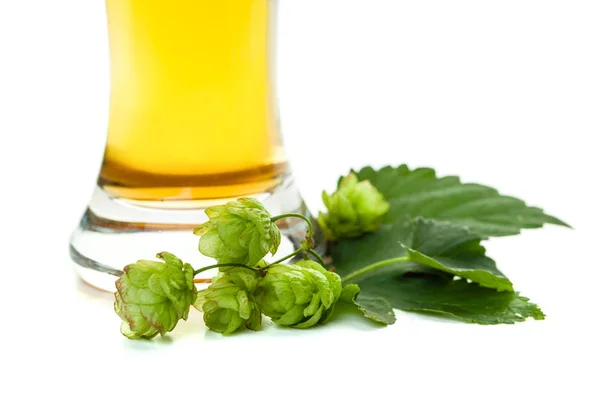 Lúpulo Cerveza Vaso Cerveza Sobre Fondo Blanco — Foto de Stock