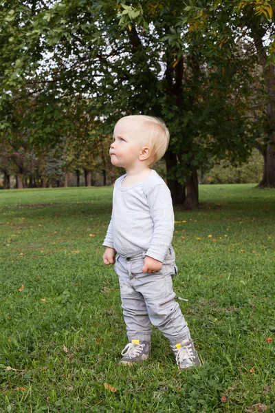 Piccolo Bambino Che Cammina Nel Parco All Aperto — Foto Stock