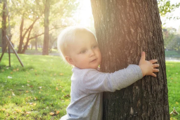 Sevimli Küçük Çocuk Yaşlı Ağaç Park Açık Havada — Stok fotoğraf