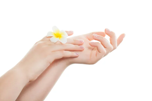 白い背景に分離されたフランス語マニキュア マニキュア サロン後エレガントな爪を持つ美しい女性の手 — ストック写真