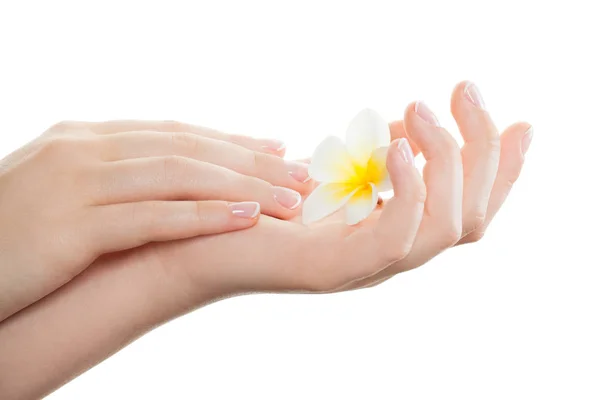 Kobieta Ręce Idealne Paznokcie Salon Manicure Francuski Manicure Białym Tle — Zdjęcie stockowe