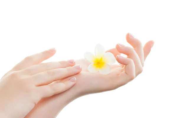 Spa Manicure Piękna Koncepcji Leczenia Ręce Kobiety Stylowe Modny Manicure — Zdjęcie stockowe