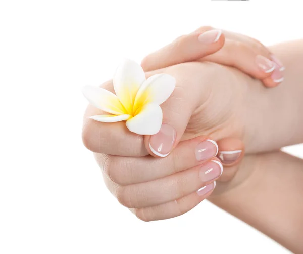 Spa Pour Les Mains Belles Mains Féminines Isolées Sur Fond — Photo