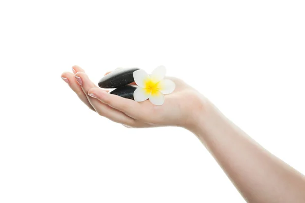Spa Dłoni Francuski Manicure Paznokciach Białym Tle Ręka Tropikalnych — Zdjęcie stockowe