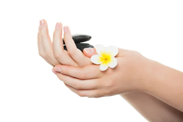 Spa Manicure Concept Vrouw Handen Met French Manicure Geïsoleerd Wit — Stockfoto