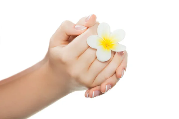 Belles Mains Femme Avec Des Ongles Parfaits Après Salon Manucure — Photo