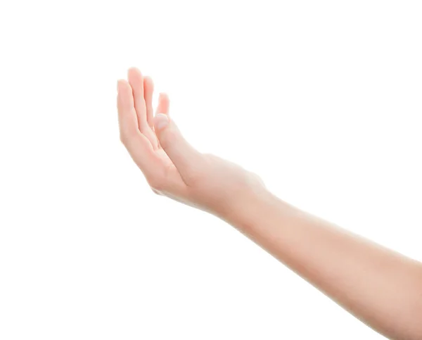 Isolierte Weibliche Hand Auf Weißem Hintergrund — Stockfoto