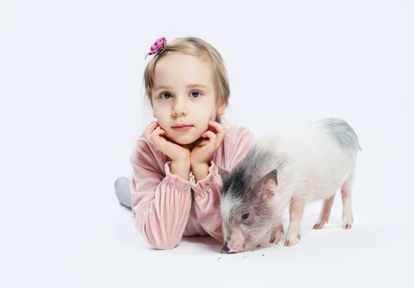 可爱的小女孩与猪 儿童和宠物 — 图库照片