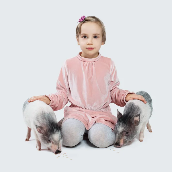 Menina Alegre Porquinhos Criança Animais Estimação — Fotografia de Stock