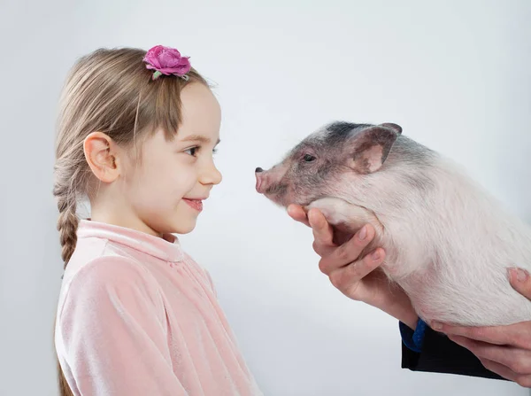 小女孩和猪 个人资料 愉快的孩子在粉红色礼服和宠物 — 图库照片
