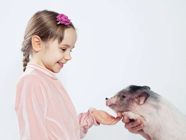 Amical Enfant Fille Avec Cochon Sur Fond Blanc Enfant Animal — Photo