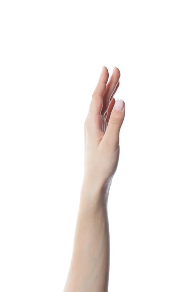 Kvinnlig Hand Upp Isolerade Vit Bakgrund — Stockfoto