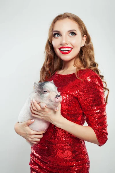 Mulher Excitada Bonito Vestido Elegante Vermelho Segurando Mini Porco Fundo — Fotografia de Stock