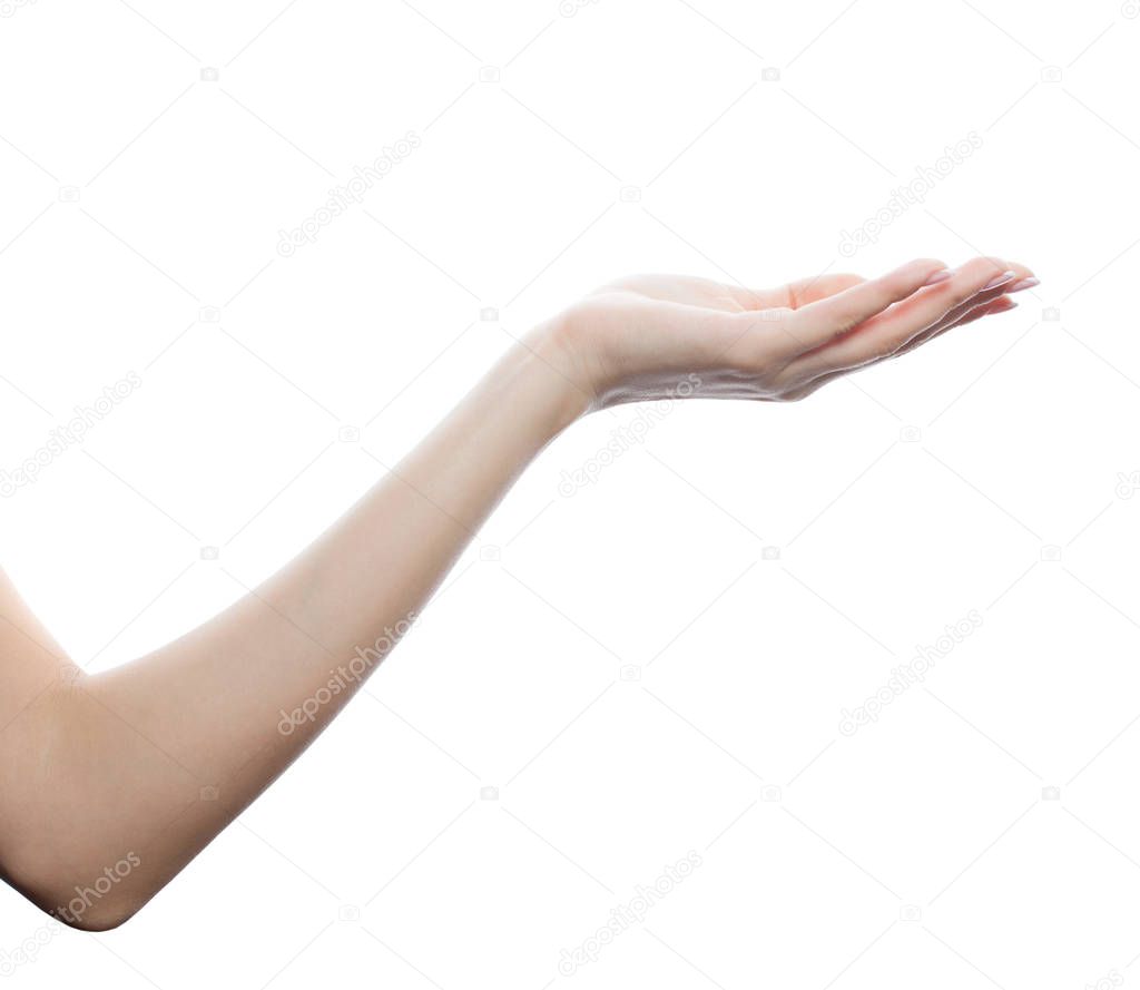 Empty female hand isolated on white background