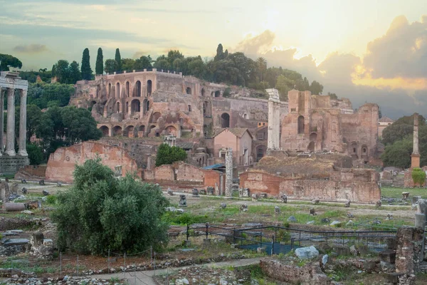 Ruinas Romanas Foro Roma Italia —  Fotos de Stock