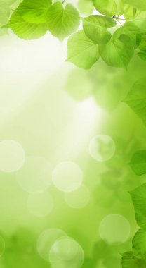Yeşil bahar arka plan bokeh için cep telefonu duvar kağıdı ışık ile