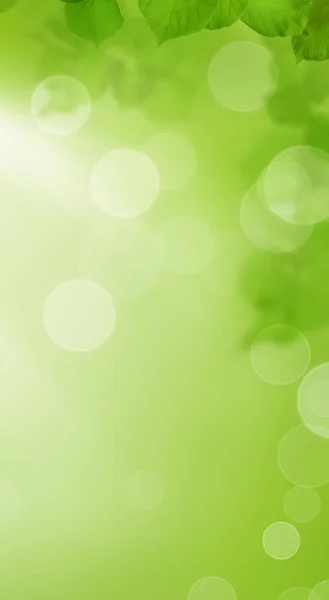 Grüne Blätter Verschwommenen Hintergrund Mit Bokeh Licht Handy Tapete — Stockfoto