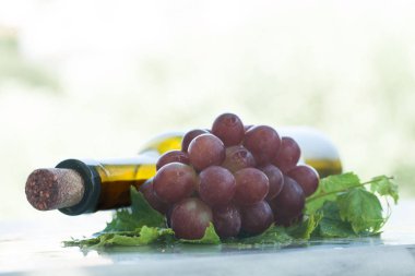 Otantik organik gıda. Üzüm İtalyan delishes