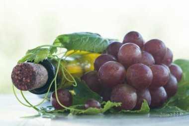 Otantik organik gıda. Üzüm İtalyan delishes