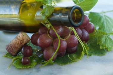 Otantik organik gıda. Üzüm İtalyan delishes