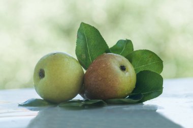 Otantik organik gıda. Armut İtalyan delishes