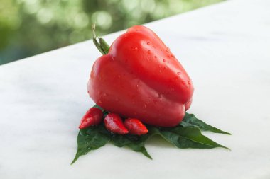 Otantik organik gıda. Biber İtalyan delishes