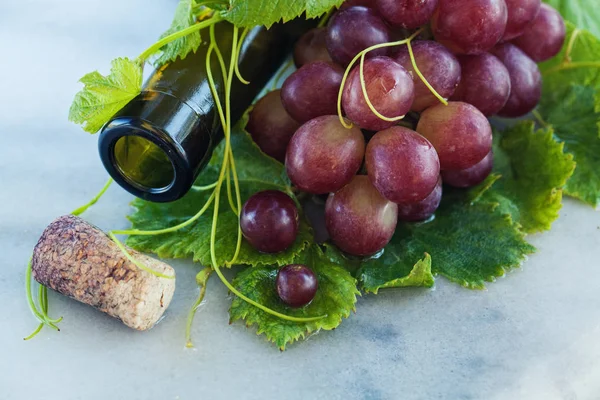 Authentic organic food. Grapes Italian delishes — Stock Photo, Image