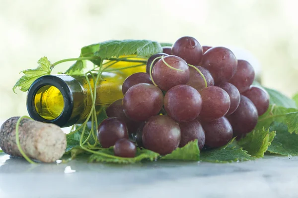 Authentic organic food. Grapes Italian delishes — Stock Photo, Image